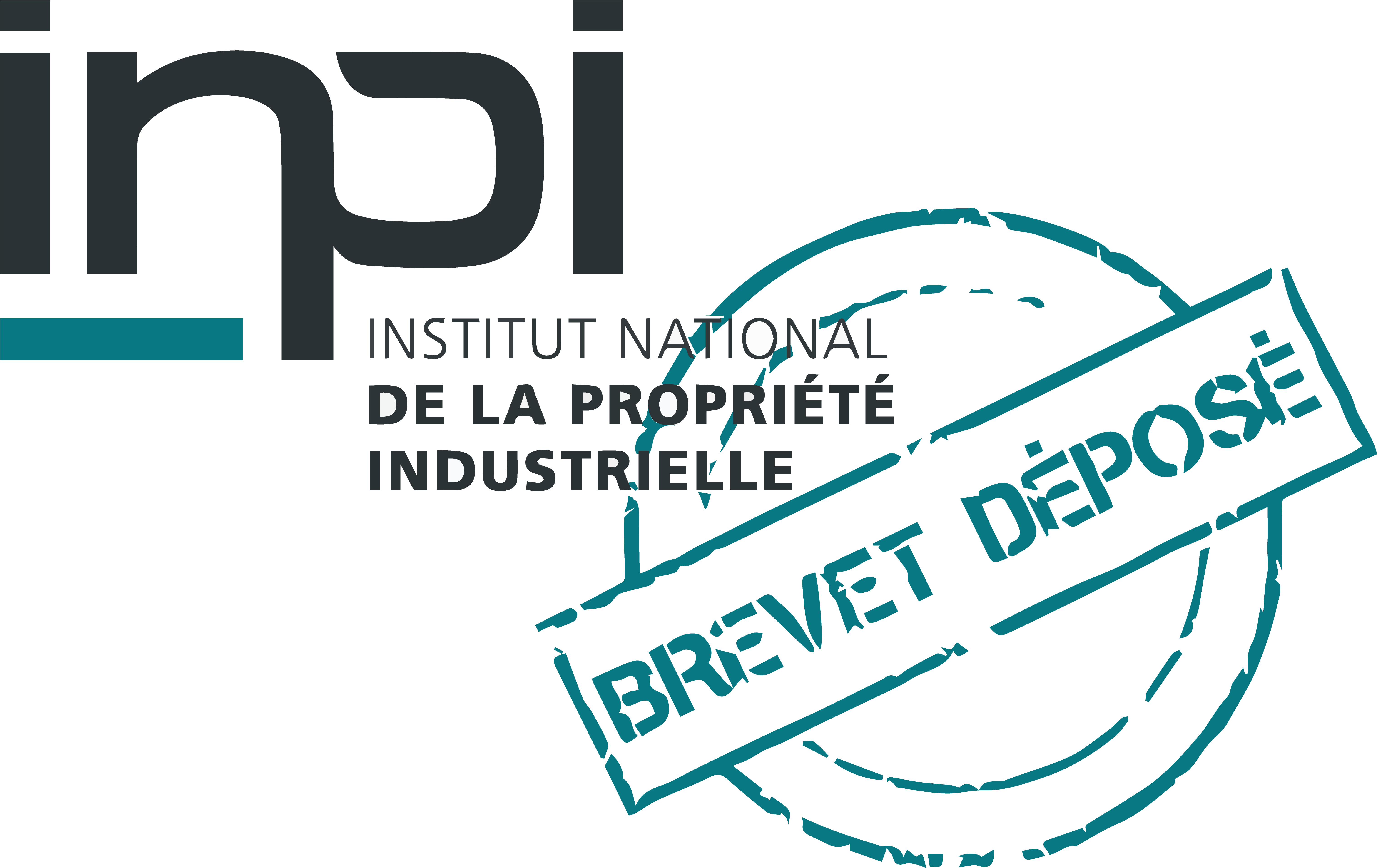 brevet inpi silicap's